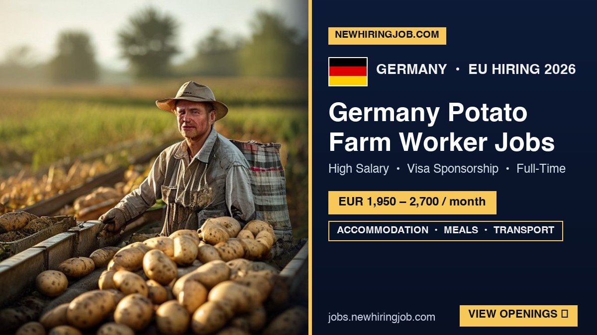 Germany Potato Farm Worker Jobs – High Salary & Visa Sponsorship Opportunities!